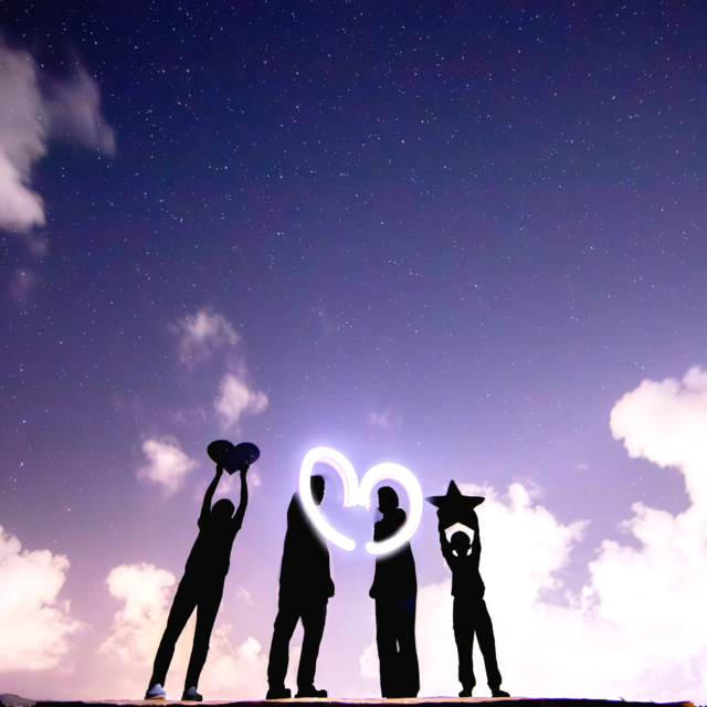 최대장별빛투어