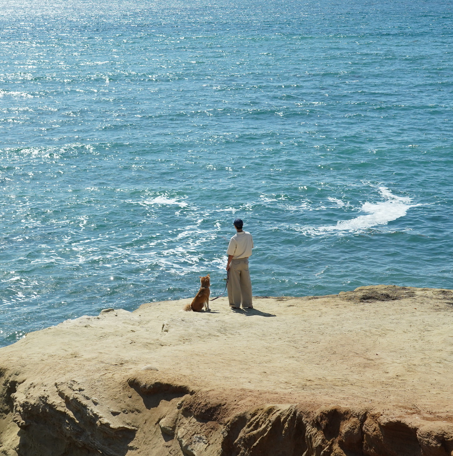 <div class="home-card-title">Human</div>