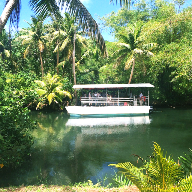정글리버크루즈 밸리오브라떼 탈로로로