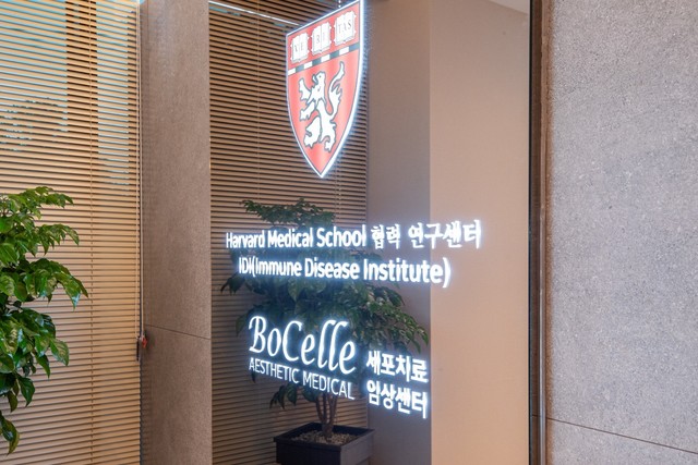 <p style="text-align:left; font-size:16px; margin-top:26px;">RAKU CLAY<br><span style="color:#666;">₩ 120,000</span></p>