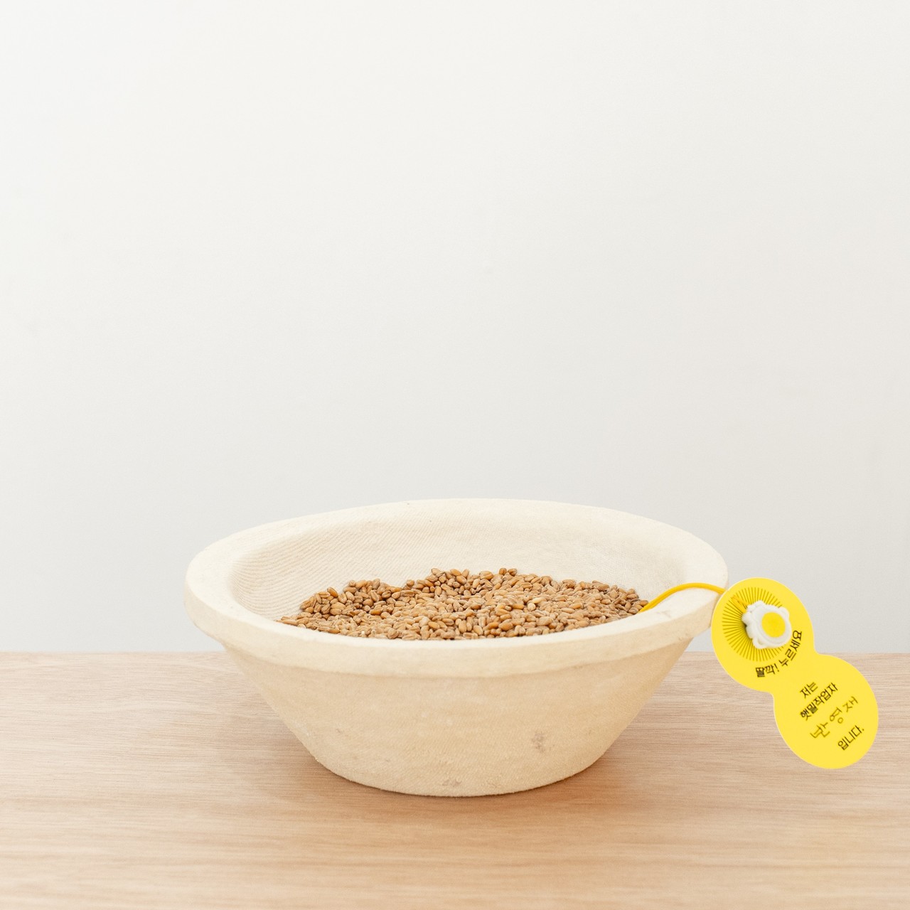음원 재생