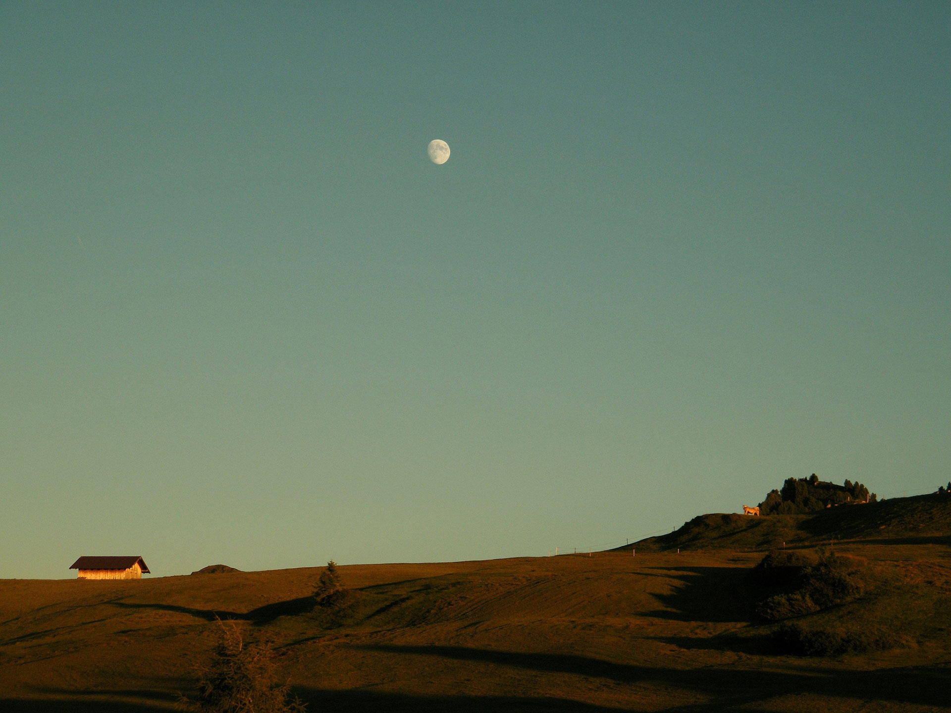 진리를 알지니 진리가 너희를 자유케하리라 (요 8:32)