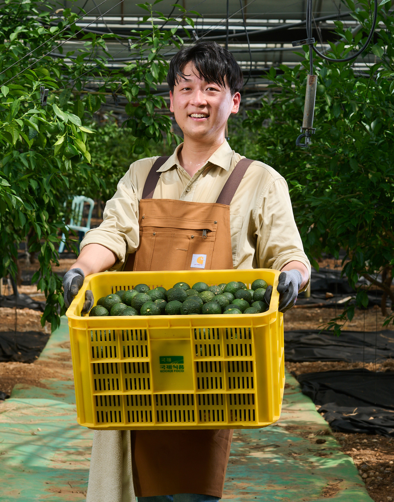 <!DOCTYPE html> <html lang="ko"> <head>   <meta charset="UTF-8">   <title>텍스트 스타일 예시</title>   <style>     h1 {       font-size: 18px;       /* 글자 크기 */       color: #FFFFFF;        /* 글자 색 (진한 회색) */     }     p {       font-size: 14px;       /* 글자 크기 */       color: #FFFFFF;        /* 글자 색 (연한 회색) */     }   </style> </head> <body>   <h1>채수인 창업가</h1>   <p>유기농 유자 브랜드 '순수유자'</p> </body> </html>