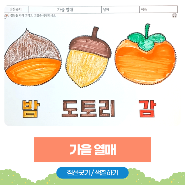 가을 열매 인지활동지 – 밤, 도토리, 감 점선긋기 색칠하기