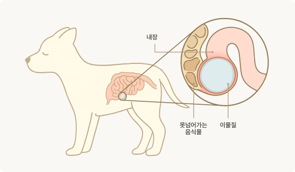 장내이물