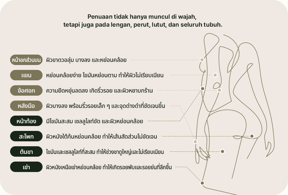 การยกกระชับที่แท้จริง คือการดูแลไปจนถึงลำตัว