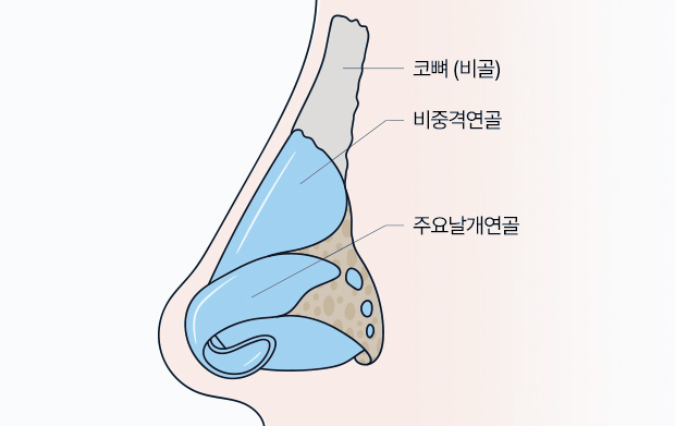 이미지 추가 중