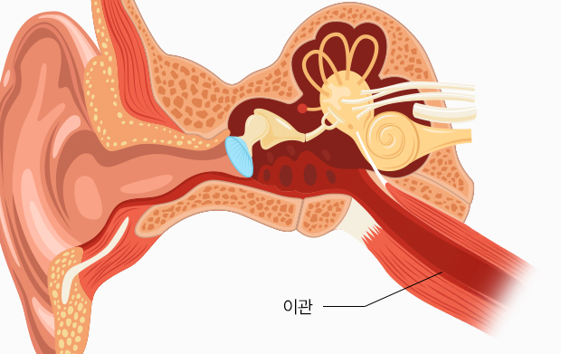 이미지 추가 중