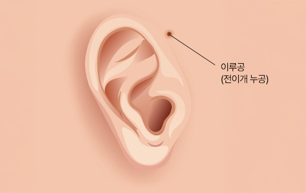이미지 추가 중