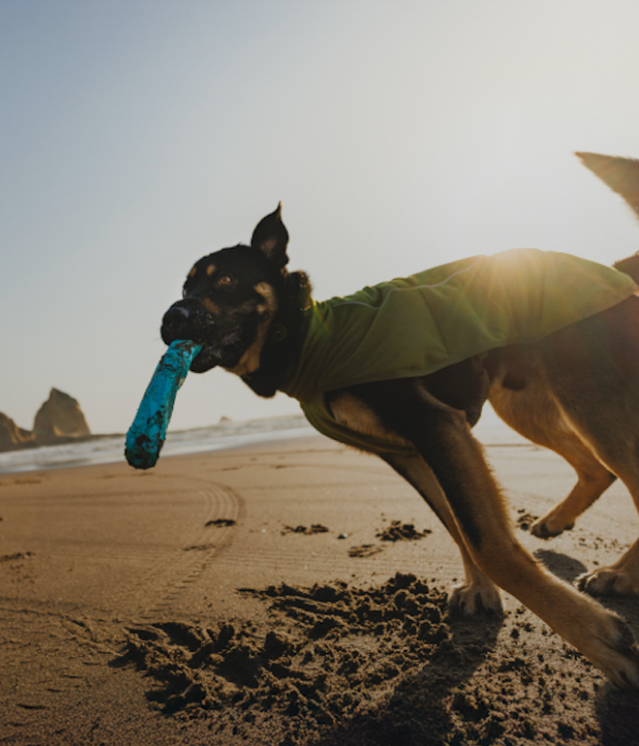 <div><div class="home-card-title">Apparel</div></div>