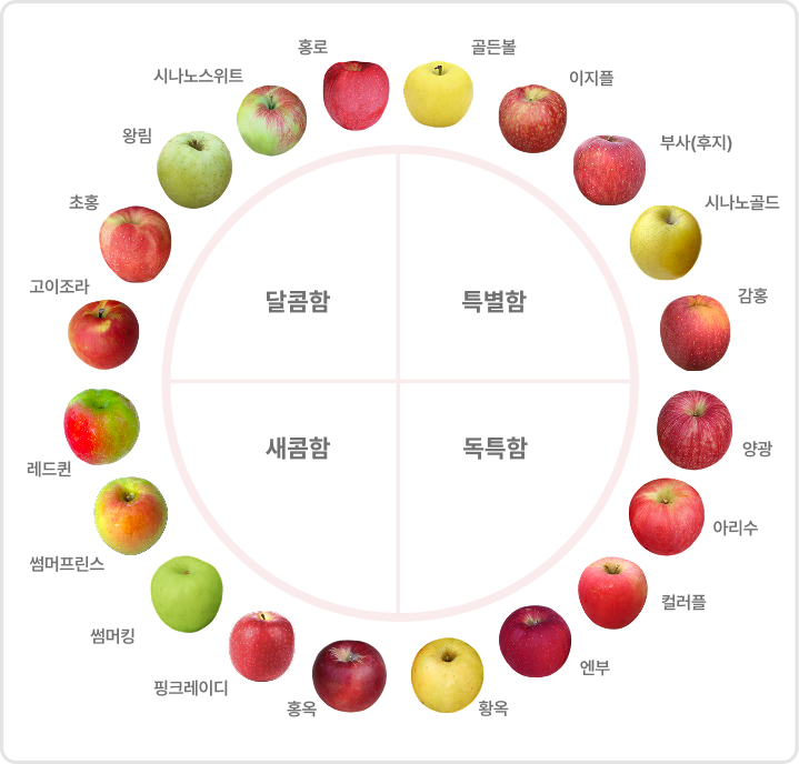 선암파머스의 다양한 사과 종류들