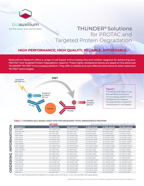 THUNDER Solutions for PROTAC and Targeted Protein Degradation : 2NCBIO ...