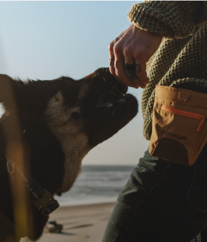 <div><div class="home-card-title">Accessories</div></div>