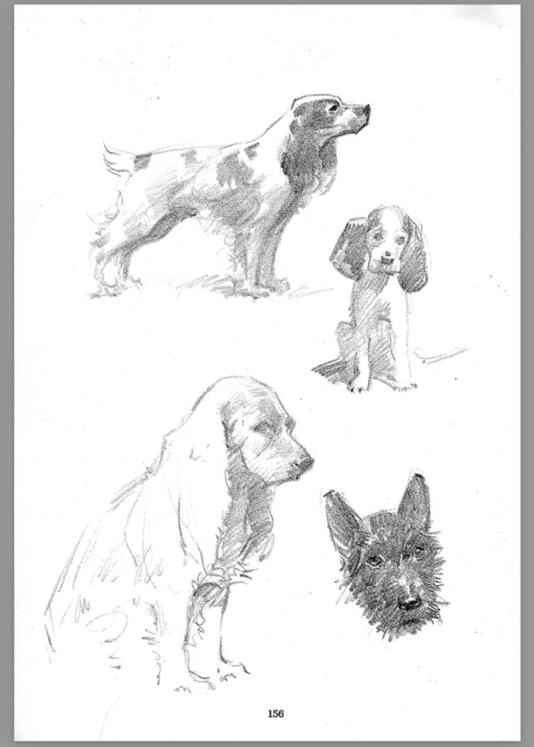 미술 그림 스케칭) 성공적인 드로잉 Successful Drawing : DDN Book Japan, image size:750x1049