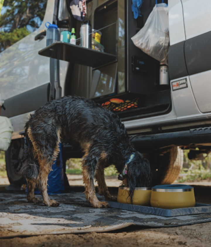 <div><div class="home-card-title">Bowls</div></div>