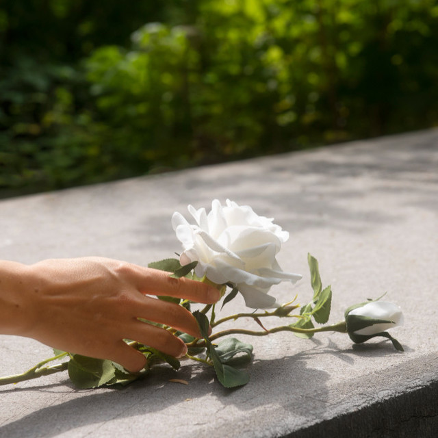 <h6 style="text-align: center;"><br></h6>  <h6 style="text-align: center;">   <span style="font-size: 24px; color: #354b25;"><strong>불법 장례식장</strong></span></h6>  <p><span style="font-size: 24px; color: rgb(115, 70, 65);"></span></p>  <p style="text-align: center; line-height: 1;"><span style="font-size: 16px;">동물장묘업에 등록되지 않은</span></p>  <p style="text-align: center; line-height: 1;"><span style="font-size: 16px;">불법 반려동물 장례식장 이용</span></p>