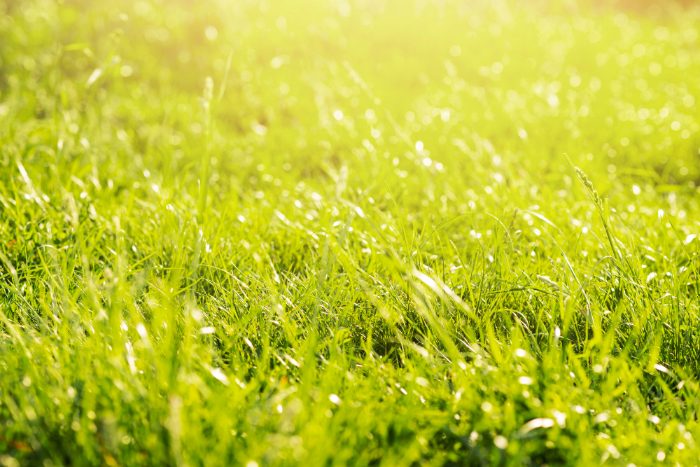 mobile background