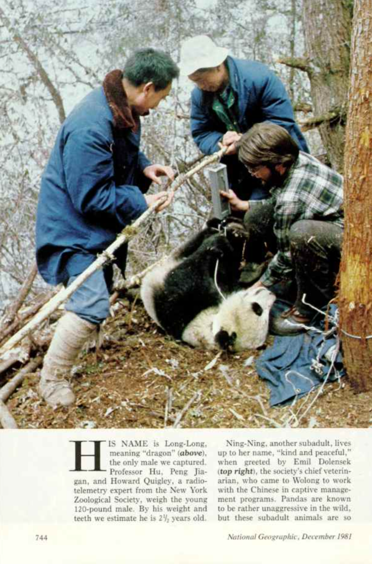 ナショナルジオグラフィック - National Geographic (1981-12) : DDN