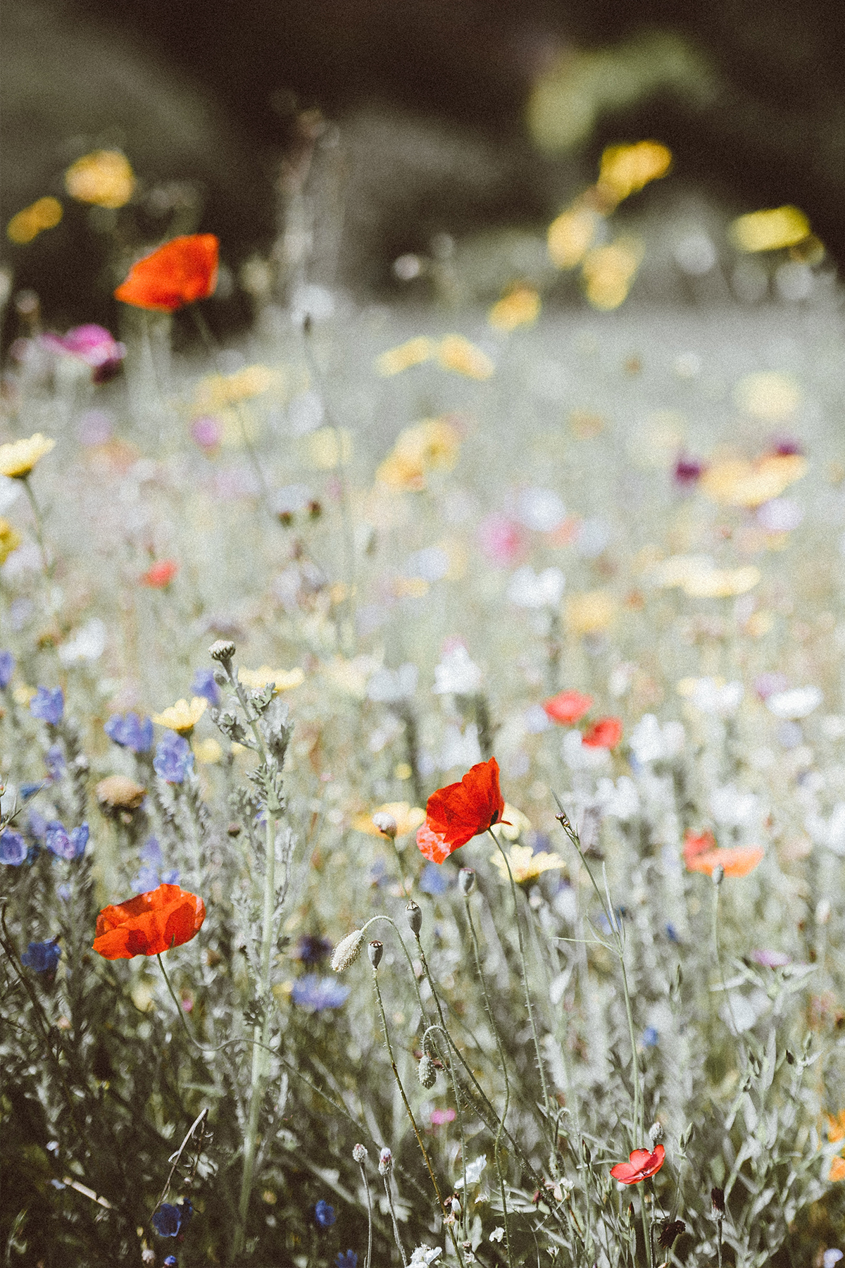 Emotionally<br>Healthy<br>Spirituality!