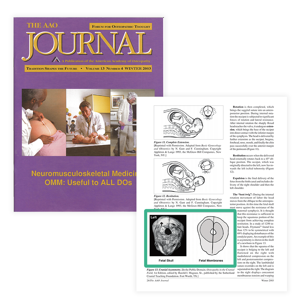 Ross E. Pope, DO, FAAO, 「The AAO Journal」, volum13 number4 winter 2003