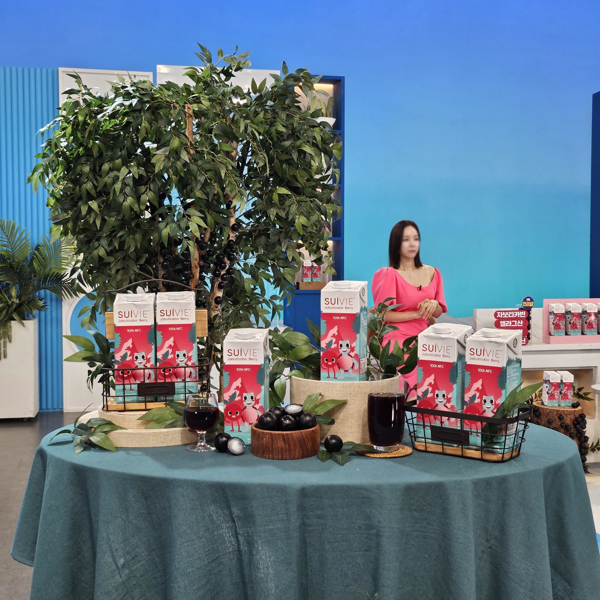 홈앤쇼핑 런칭[수이비 자보티카바]