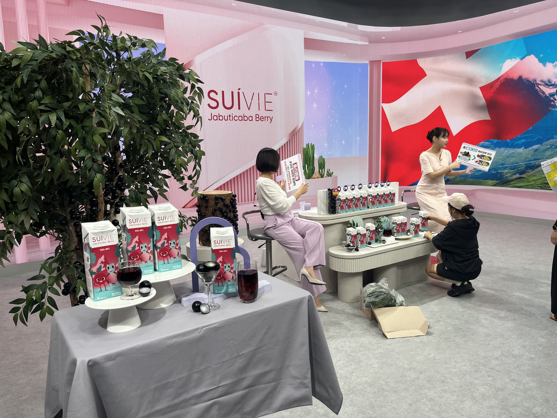 KT알파쇼핑 런칭[수이비 자보티카바]