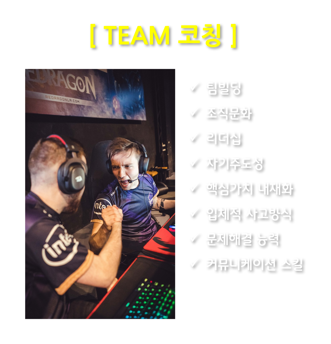 TEAM 코칭