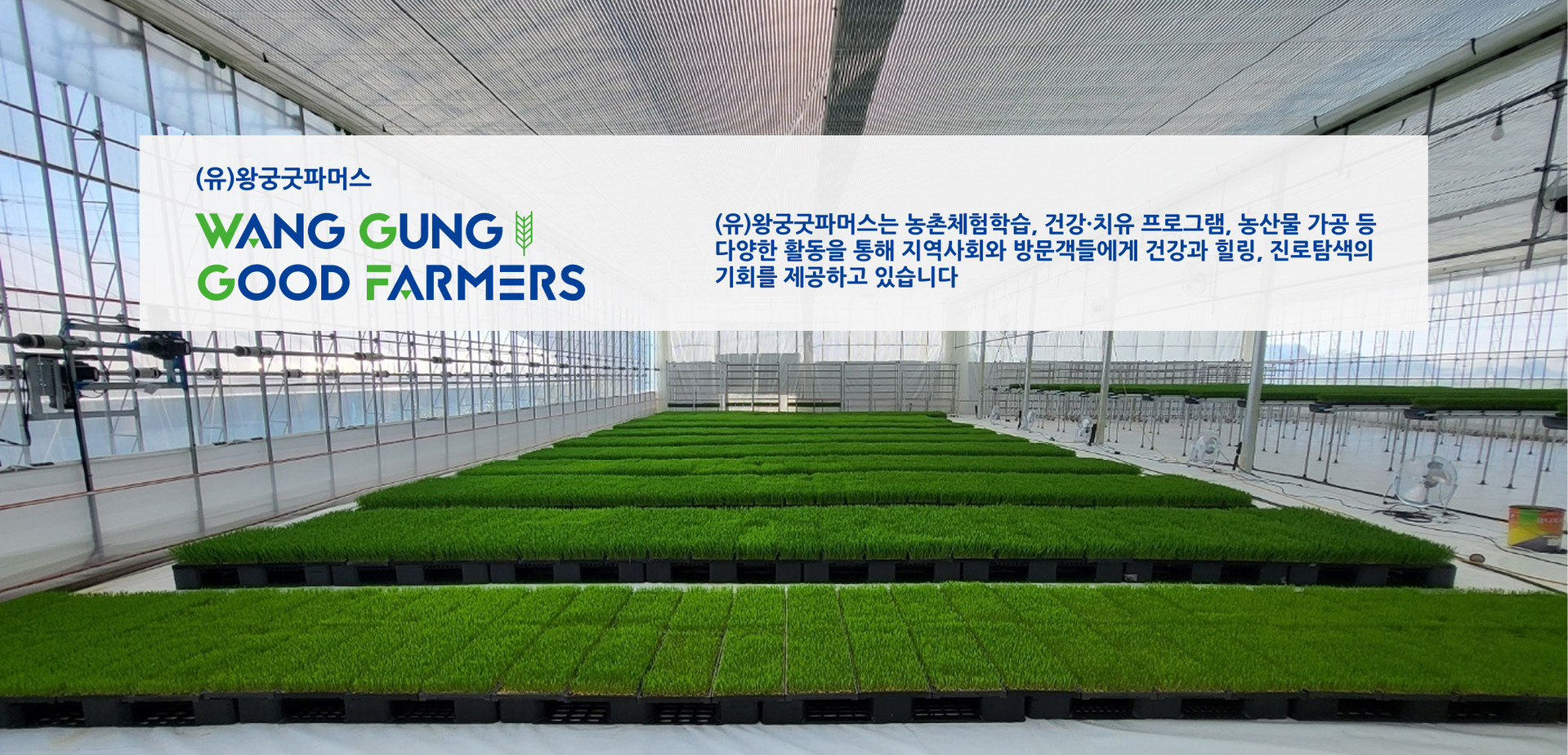 <div style="position: absolute; top: 5%; left: 5%; color: #E2F0D3; font-size: clamp(14px, 1.5vw, 28px); font-weight: bold;">● 회사소개</div>