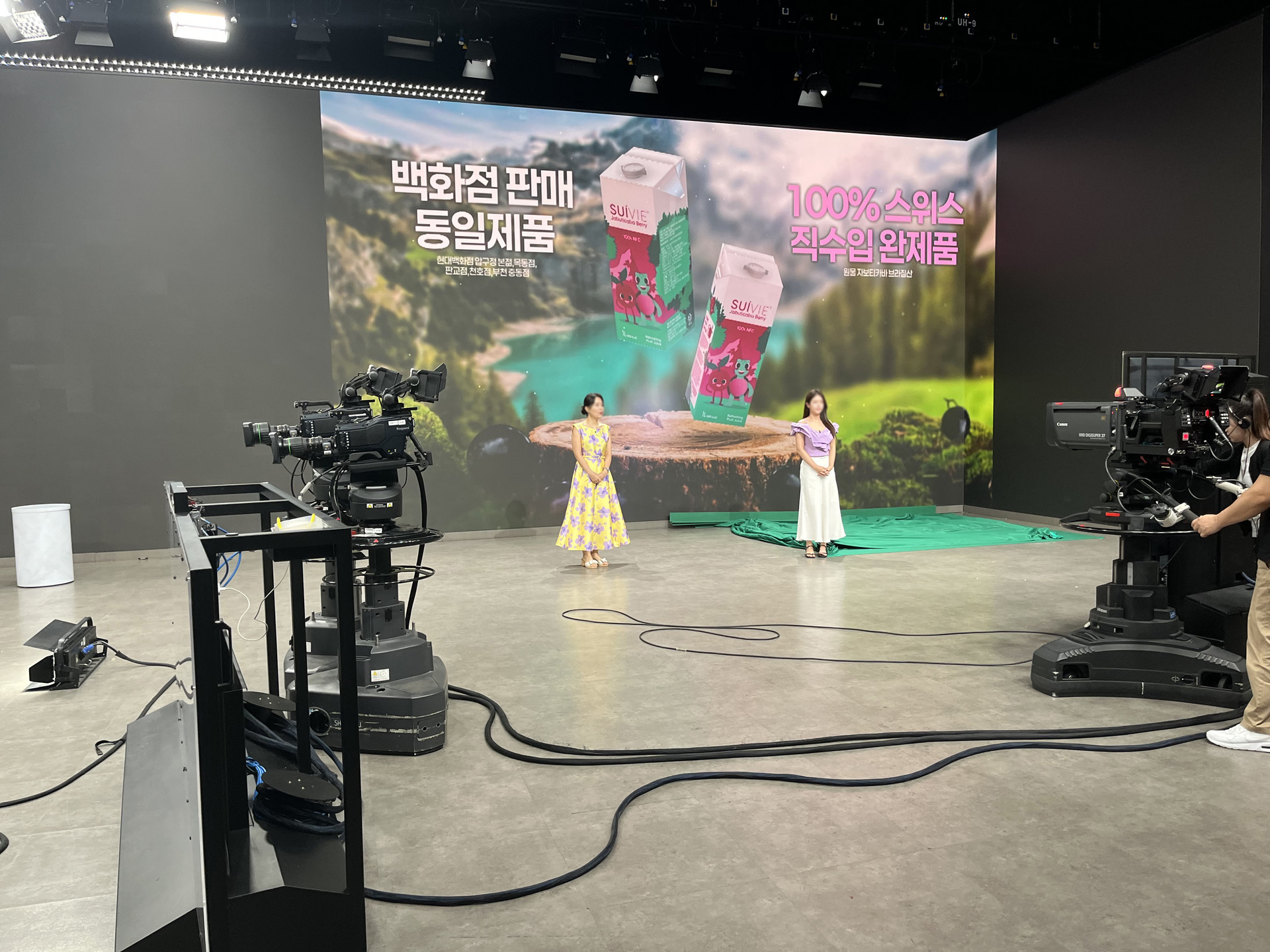 현대홈쇼핑 런칭[수이비 자보티카바]