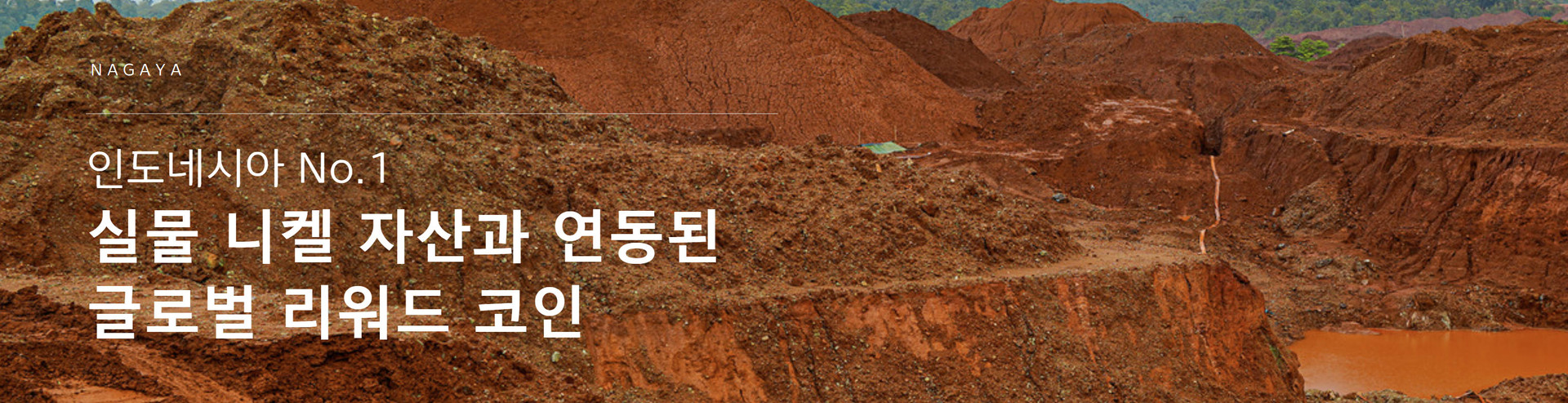 알트코인 - 알트코인 시장 속 Nagaya의 위치와 성장 가능성