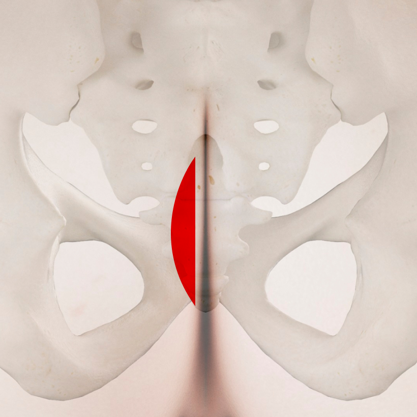 <p style="margin-top:20px;"><span style="font-size: 30px;"><strong><span style="color: rgb(255, 255, 255);">자가진피</span></strong></span></p>