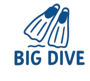 빅다이브