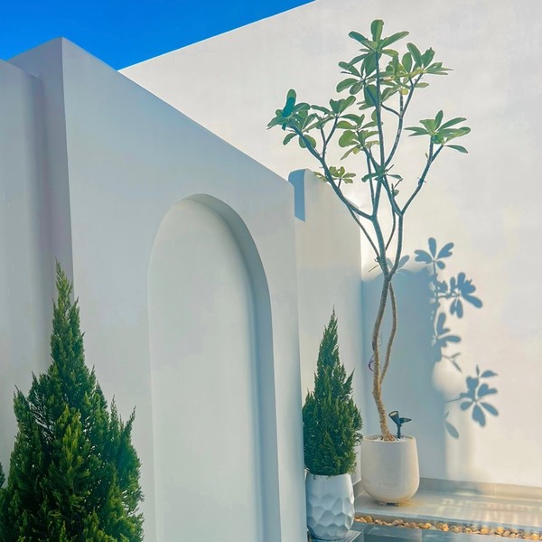 예약 상품 이미지