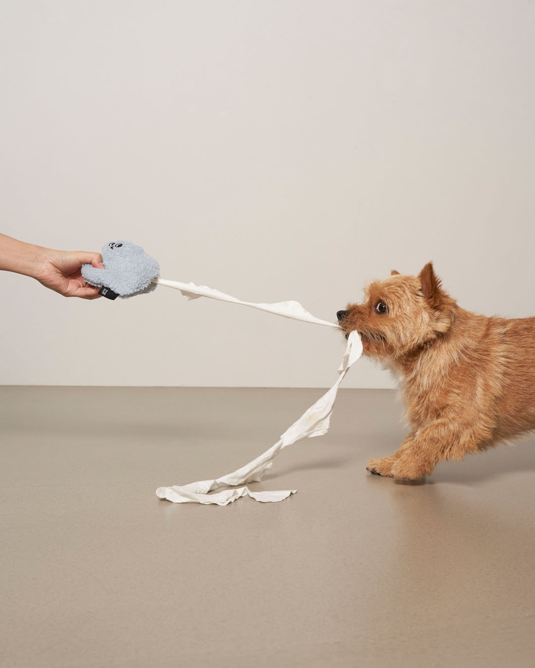 Play all day, Ugly toy