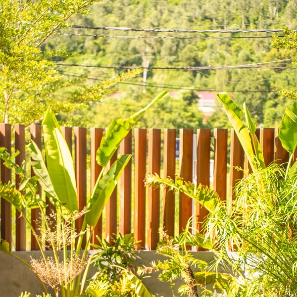 예약 상품 이미지