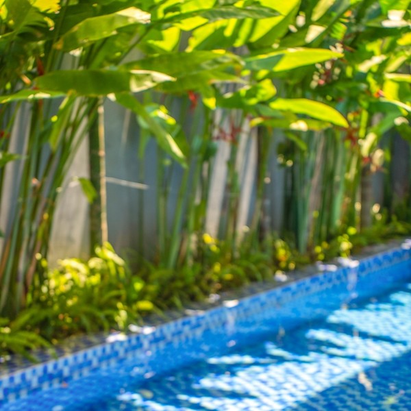 예약 상품 이미지