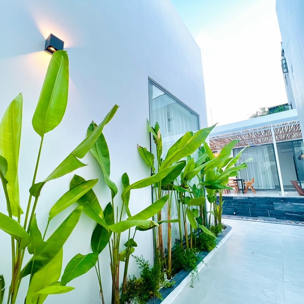 예약 상품 이미지