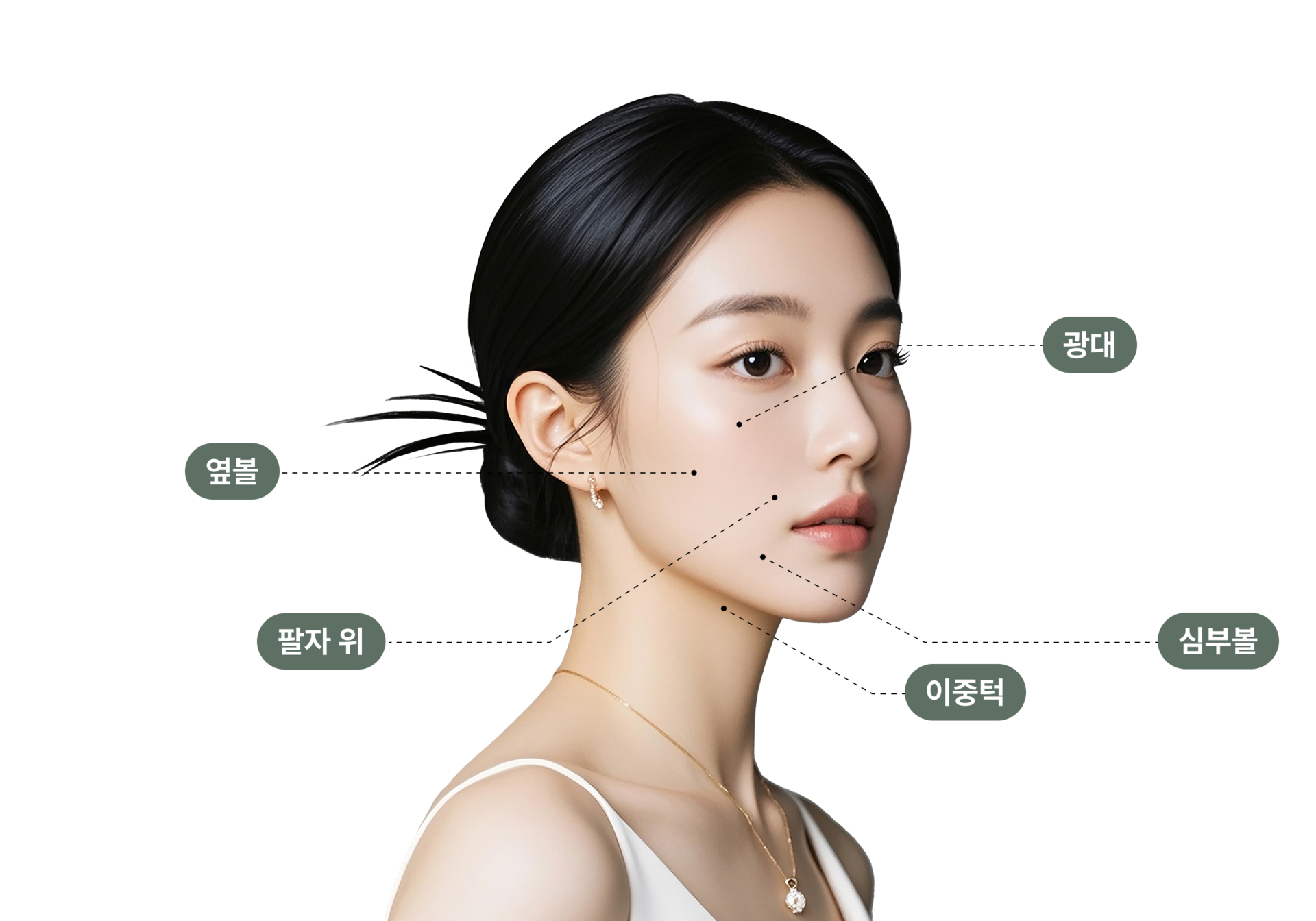 지방흡입 적용 부위