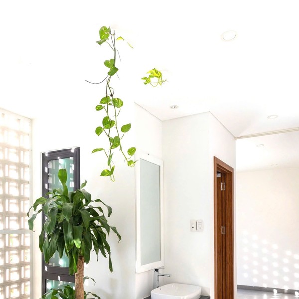 예약 상품 이미지