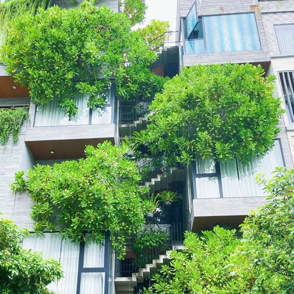 예약 상품 이미지