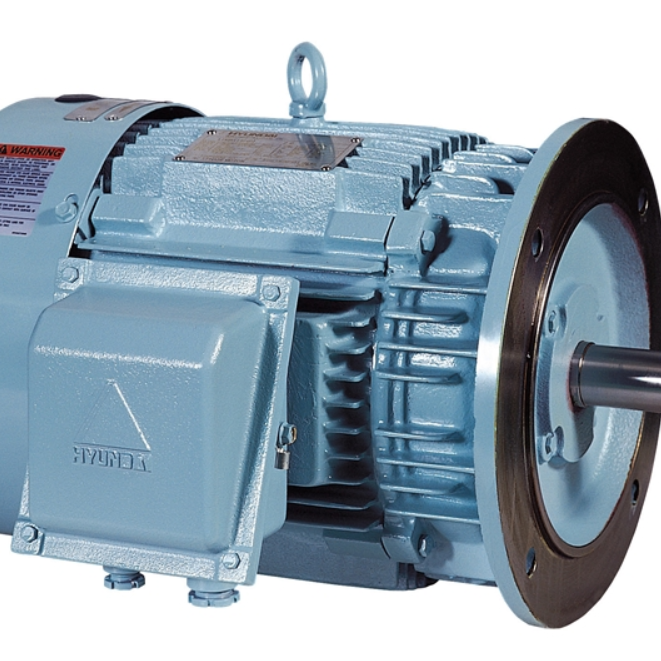 Exe IIT4 Hyundai Explosion-Proof Motor 3HP 4P 440V 60HZ Vertical Flange ...