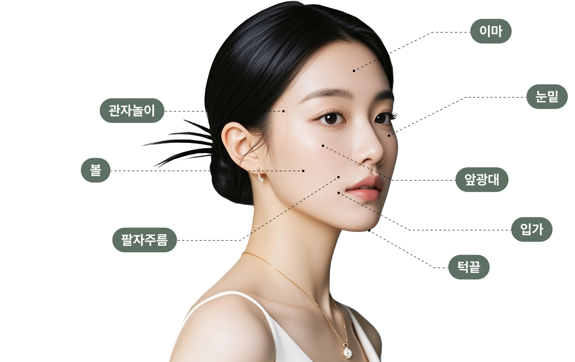 지방이식 적용 부위