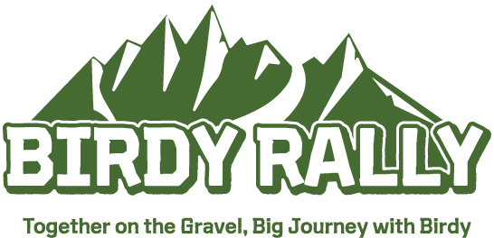 버디랠리(Birdy Rally)