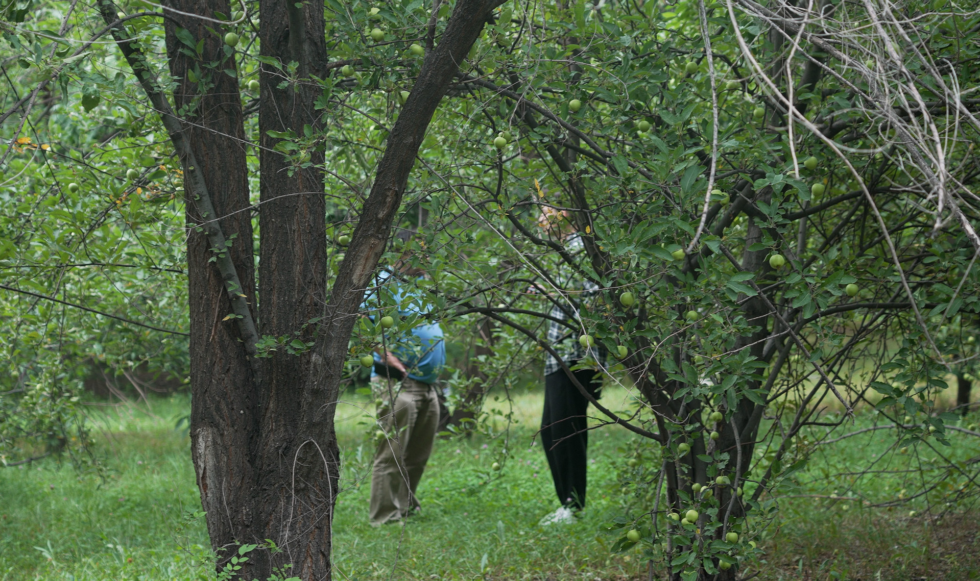 <strong>안소정, 라마잔 키르기즈바예 감독</strong><br/>2024 │ 대한민국 │ 31분 │ 다큐멘터리 │ 전체관람가