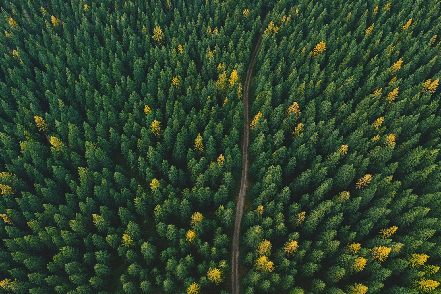 mobile background