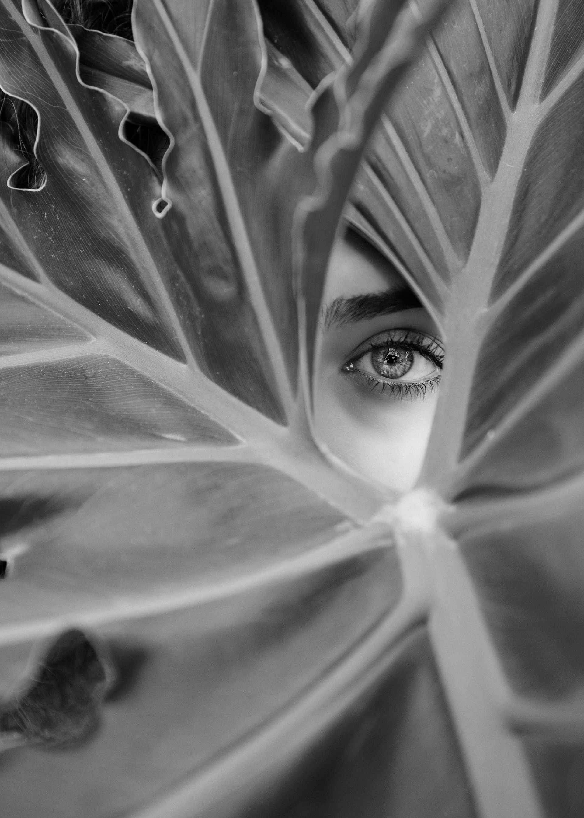 <span style="font-size: 18px;"><strong>불법 촬영물 / 몸캠 피싱 </strong></span><br><span>불법 촬영물과 몸캠 피싱 영상은 확산될수록 회복이 어렵습니다. 전문 절차를 통해 삭제하고, 재유포를 차단합니다.</span>