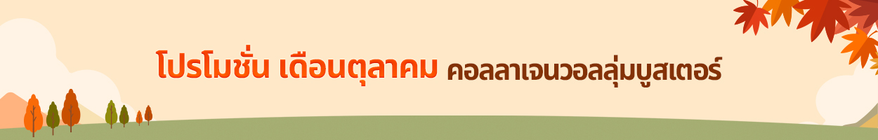 ยังไม่รวม VAT