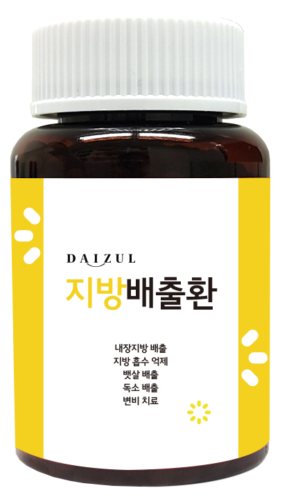 다이즐한의원 지방배출환