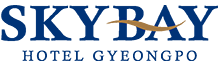 스카이베이호텔 경포