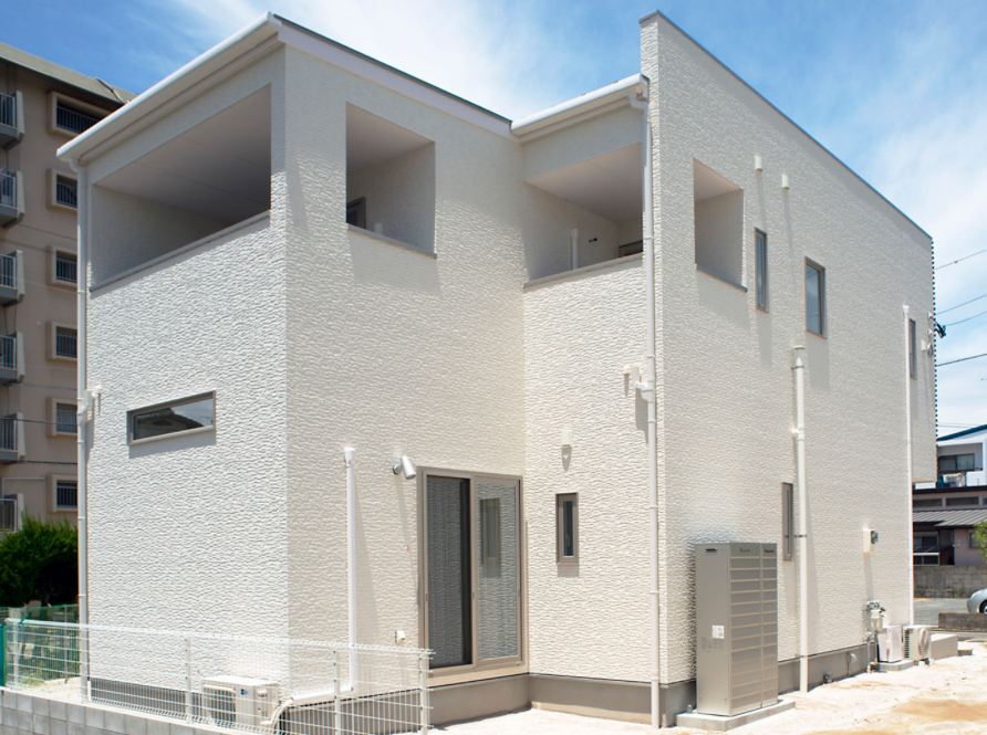 디렉톤 실크화이트 ㅣ NW3641